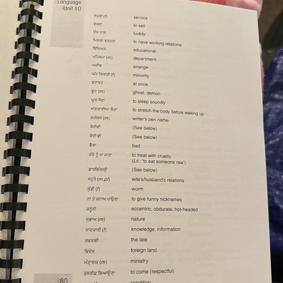 2 the next step in language learning colloquial panjabi - Picture 2 of 3